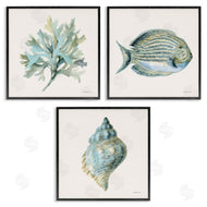 Danhui Nai | Coastal Bliss Sea Life