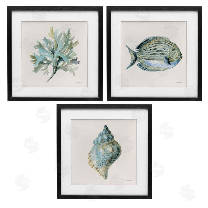 Danhui Nai | Coastal Bliss Sea Life