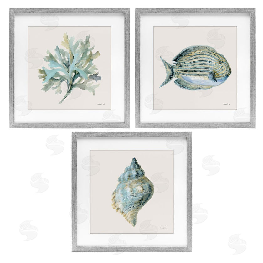 Danhui Nai | Coastal Bliss Sea Life