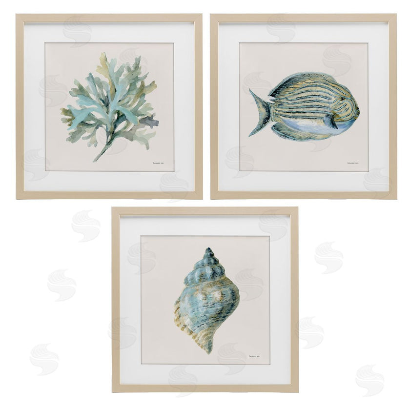 Danhui Nai | Coastal Bliss Sea Life