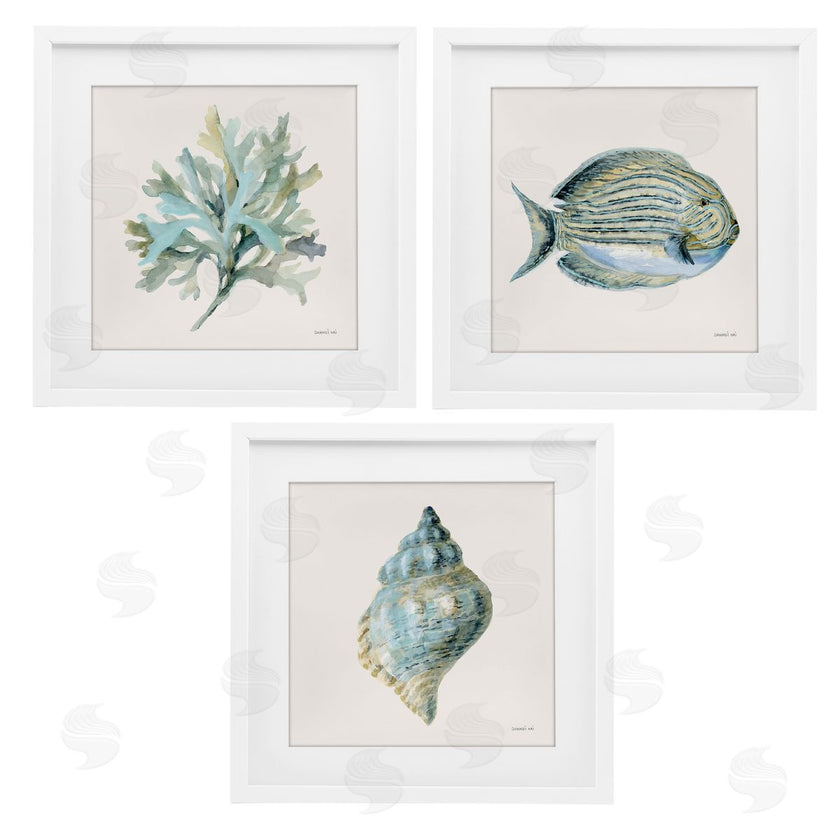 Danhui Nai | Coastal Bliss Sea Life