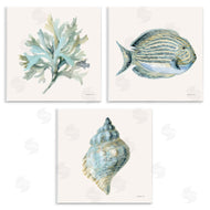 Danhui Nai | Coastal Bliss Sea Life