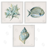 Danhui Nai | Coastal Bliss Sea Life