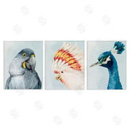 Hannah Dawson | Vivid Plumage Bird Portraits