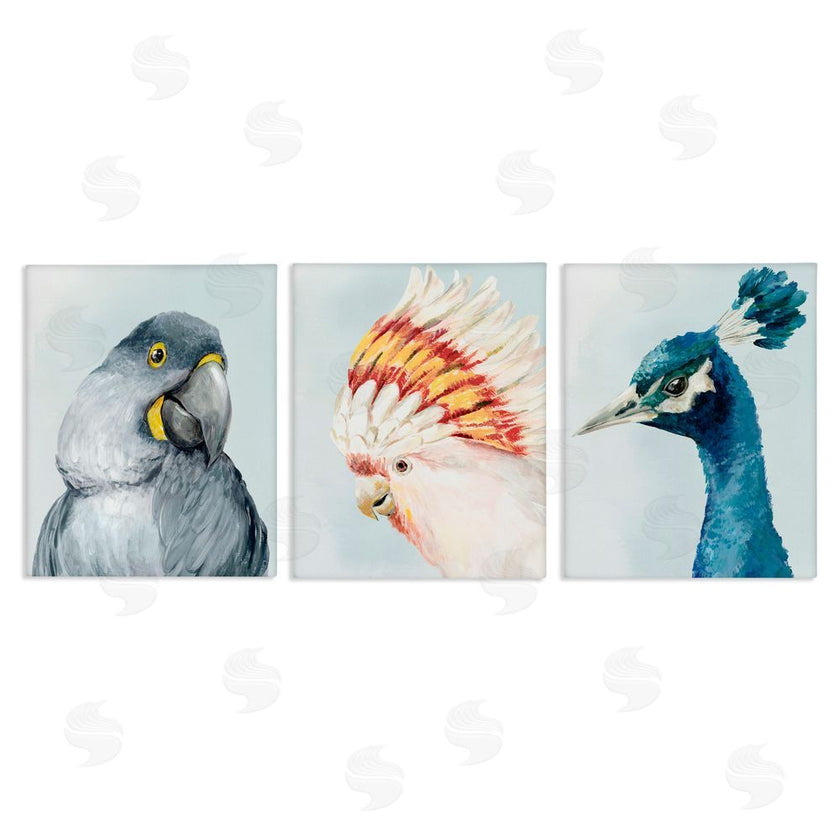 Hannah Dawson | Vivid Plumage Bird Portraits