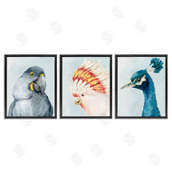 Hannah Dawson | Vivid Plumage Bird Portraits
