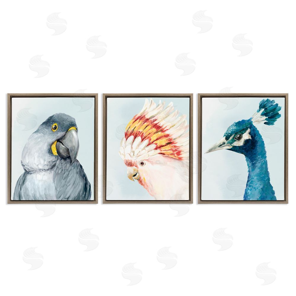 Hannah Dawson Vivid Plumage Bird Portraits Brown Floating Frame Canvas Art Set