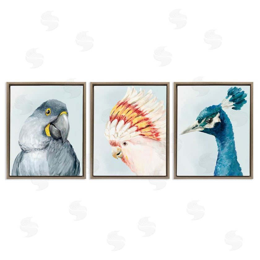 Hannah Dawson | Vivid Plumage Bird Portraits