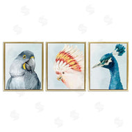 Hannah Dawson | Vivid Plumage Bird Portraits