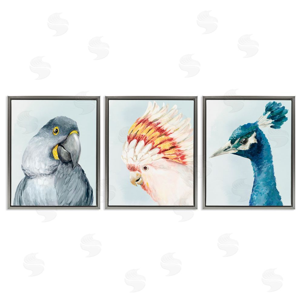 Hannah Dawson Vivid Plumage Bird Portraits Gray Floating Frame Canvas Art Set