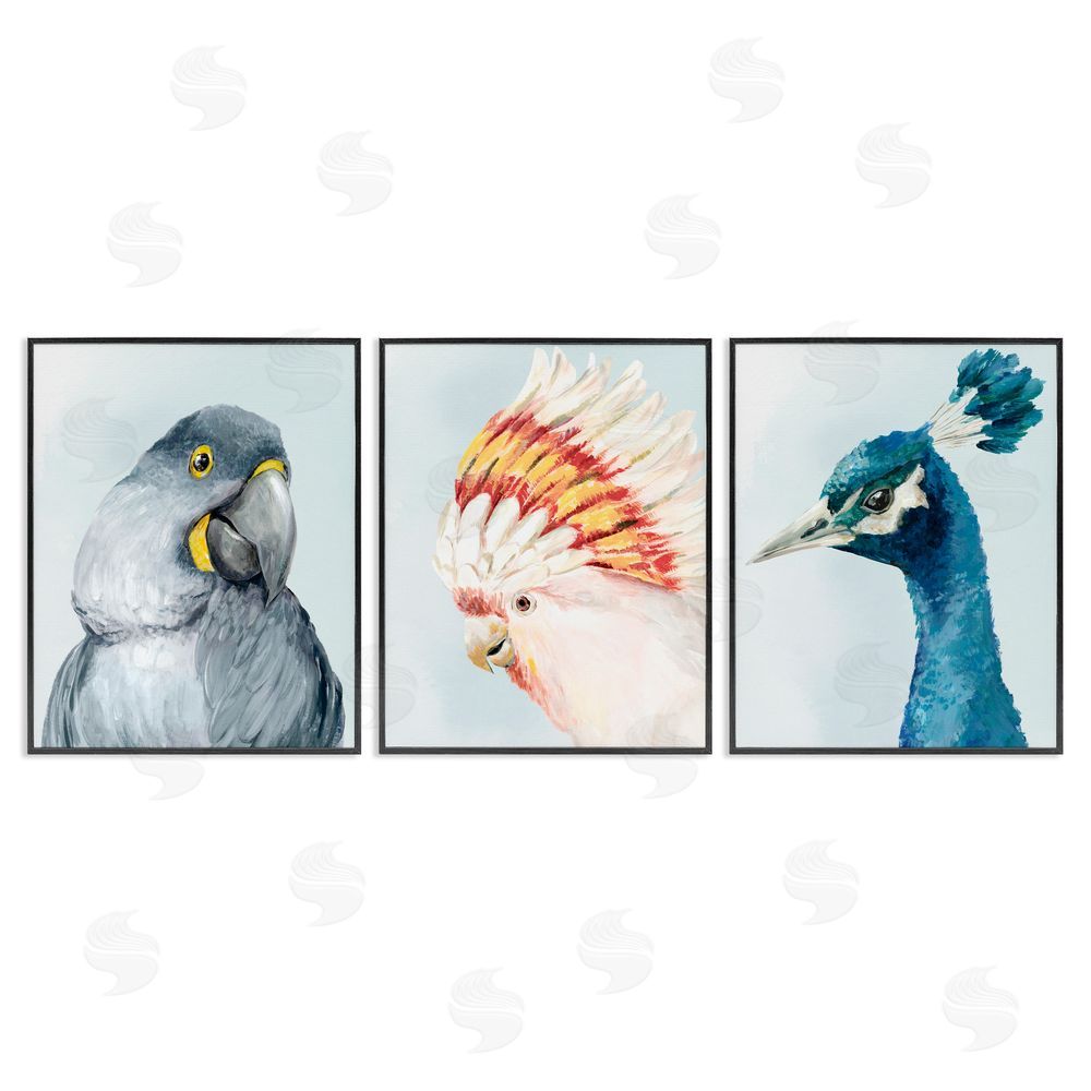 Hannah Dawson Vivid Plumage Bird Portraits Black Framed Giclee Art Set