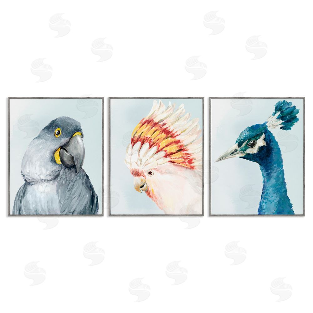 Hannah Dawson Vivid Plumage Bird Portraits Gray Framed Giclee Art Set