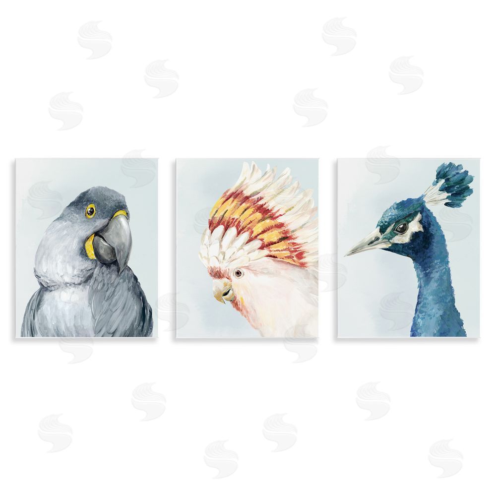 Hannah Dawson Vivid Plumage Bird Portraits Wall Plaque Printed Art Set