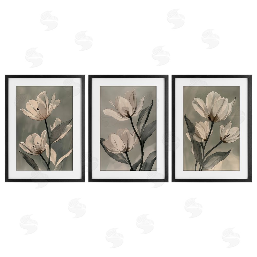 Annabelle Hall Flower Trios Portraits Black Framed Print Under Glass Set