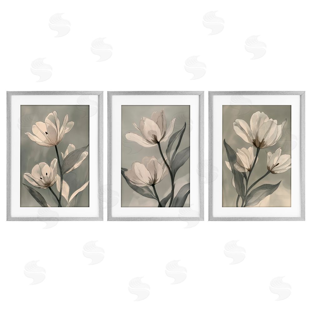 Annabelle Hall Flower Trios Portraits Gray Framed Print Under Glass Set