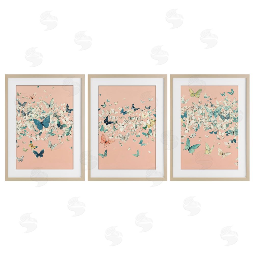 Petal Prints Design Blush Butterfly Soiree Triptych Birch Framed Print Under Glass with White Mat Wall Art