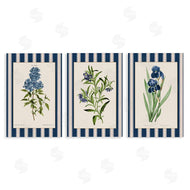 Corinne Haig | Vintage Plant Studies over Stripes