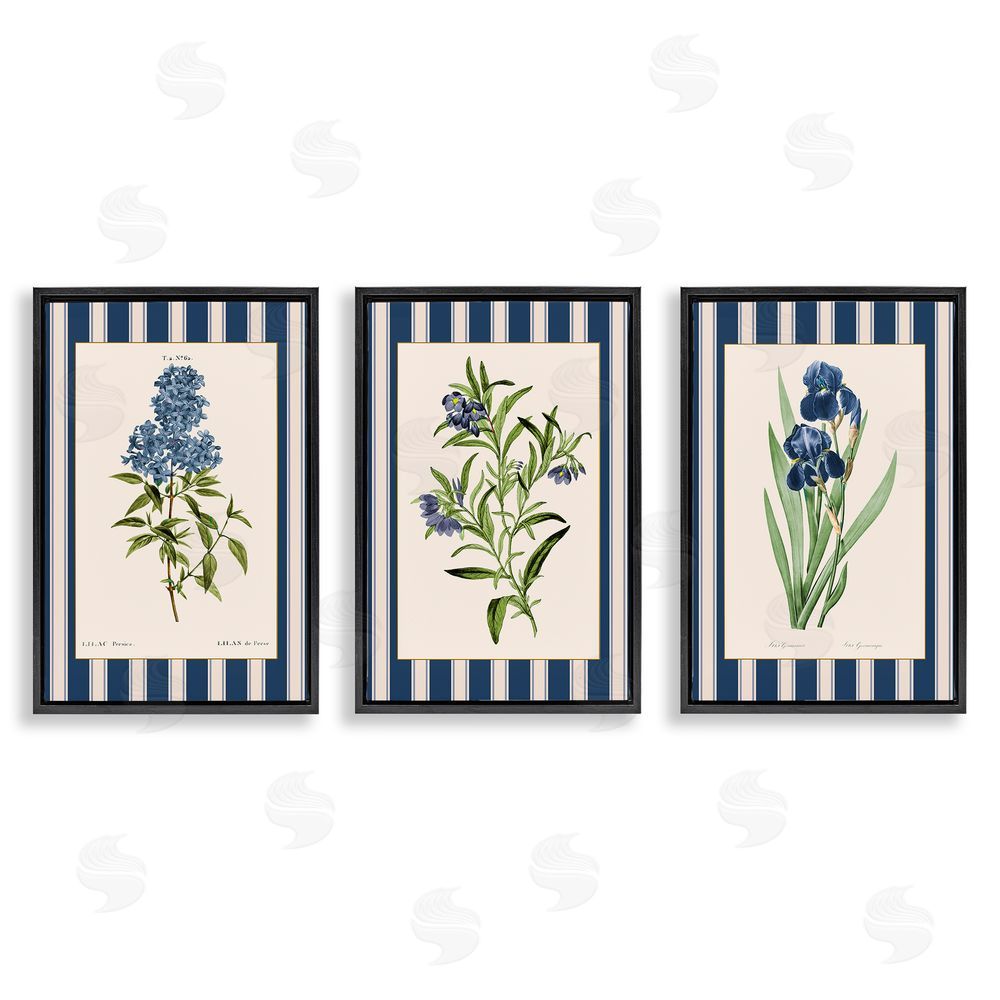 Corinne Haig Vintage Plant Studies over Stripes Black Floating Frame Canvas Wall Art Set
