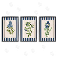 Corinne Haig | Vintage Plant Studies over Stripes