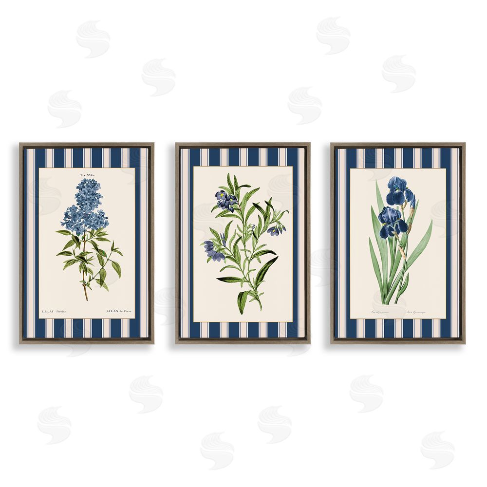 Corinne Haig Vintage Plant Studies over Stripes Brown Floating Frame Canvas Art Set