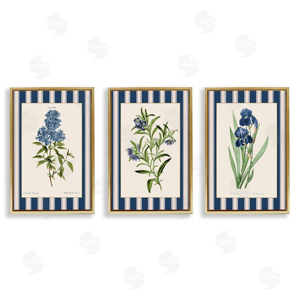 Corinne Haig Vintage Plant Studies over Stripes Gold Floating Frame Canvas Art Set