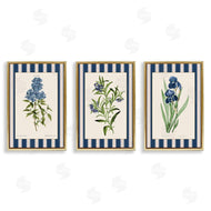 Corinne Haig | Vintage Plant Studies over Stripes