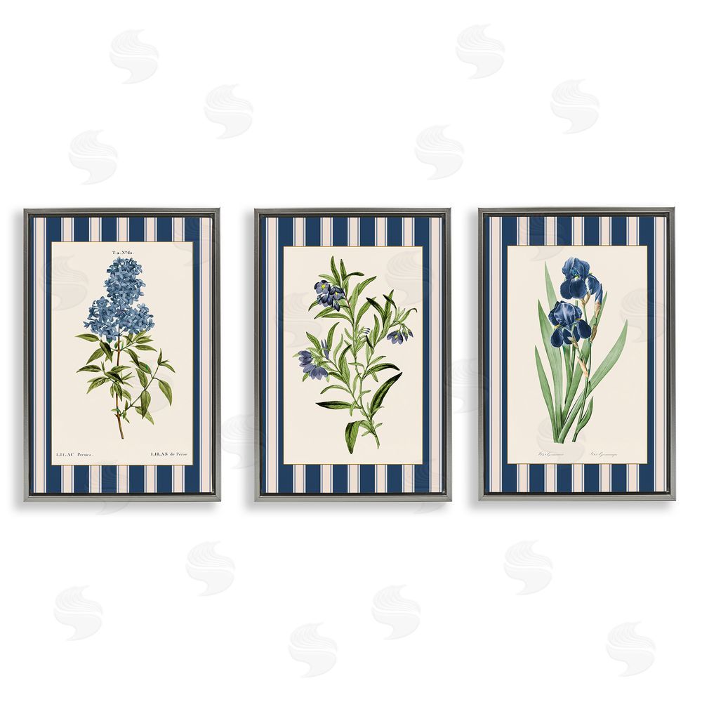 Corinne Haig Vintage Plant Studies over Stripes Gray Floating Frame Canvas Art Set