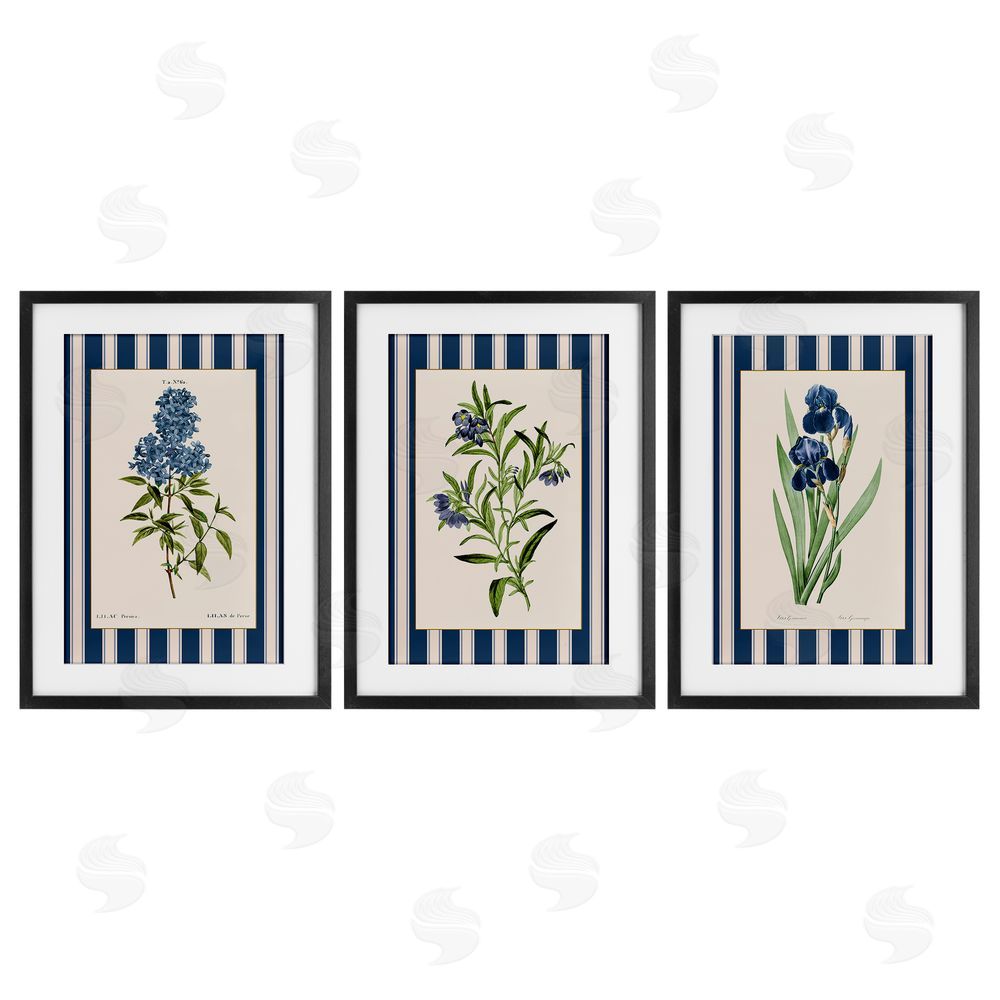 Corinne Haig Vintage Plant Studies over Stripes Black Framed Print Under Glass Set