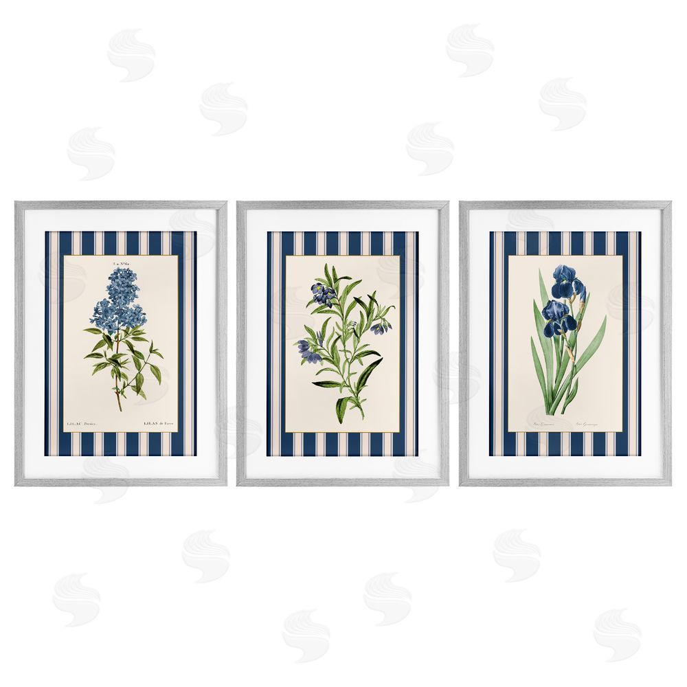 Corinne Haig Vintage Plant Studies over Stripes Gray Framed Print Under Glass Set