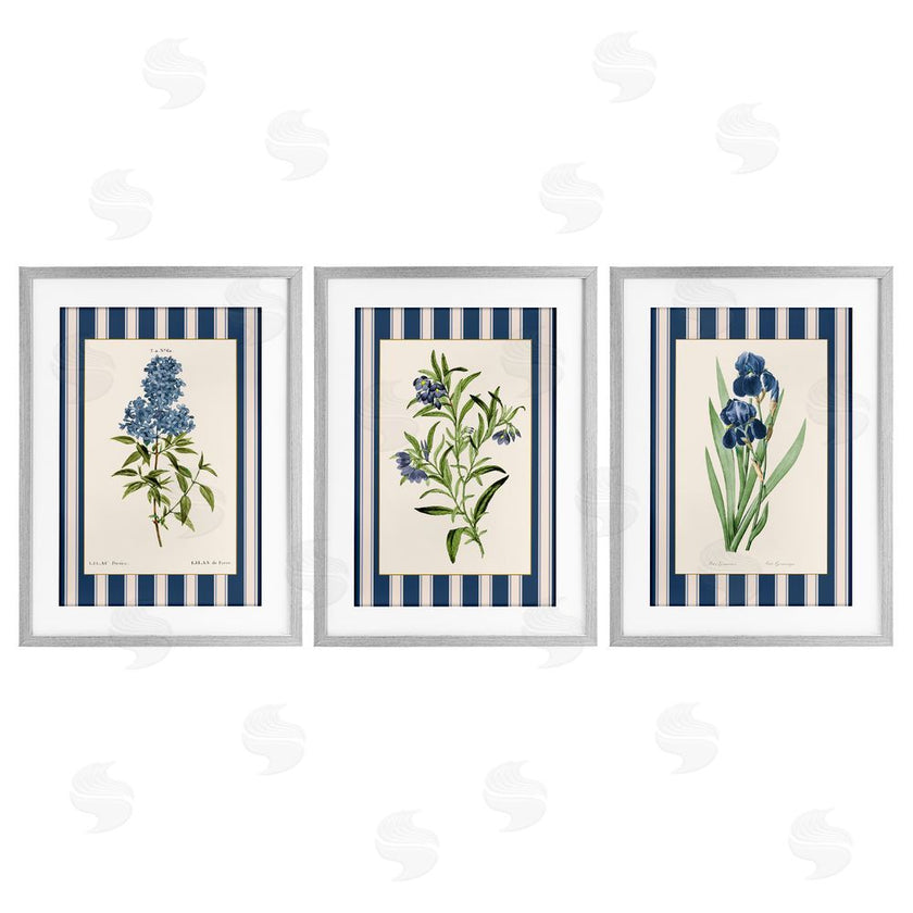Corinne Haig | Vintage Plant Studies over Stripes