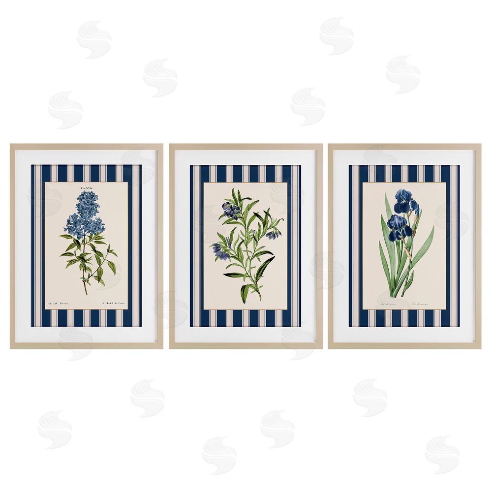Corinne Haig Vintage Plant Studies over Stripes Birch Framed Print Under Glass Set