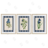 Corinne Haig | Vintage Plant Studies over Stripes