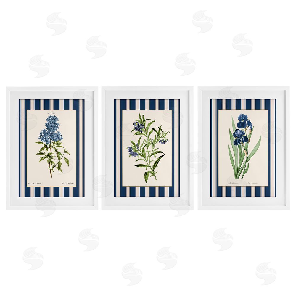 Corinne Haig Vintage Plant Studies over Stripes White Framed Print Under Glass Set