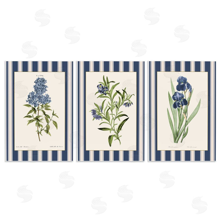 Corinne Haig | Vintage Plant Studies over Stripes