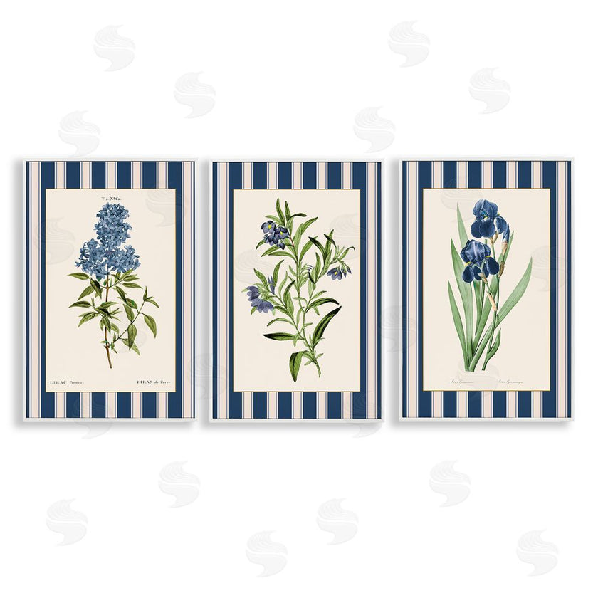 Corinne Haig | Vintage Plant Studies over Stripes