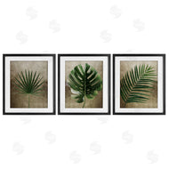 Anna Lischenko | Rustic Earthy Tropical Leaves