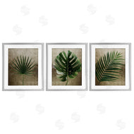 Anna Lischenko | Rustic Earthy Tropical Leaves