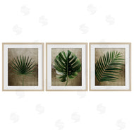 Anna Lischenko | Rustic Earthy Tropical Leaves