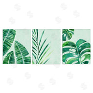 Camila Juncos | Various Plant Leaves Tropics