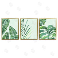Camila Juncos | Various Plant Leaves Tropics