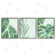 Camila Juncos | Various Plant Leaves Tropics