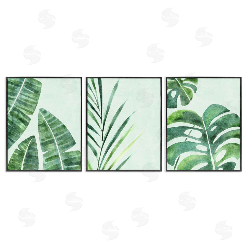 Camila Juncos | Various Plant Leaves Tropics