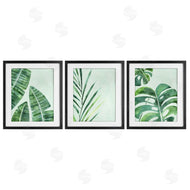 Camila Juncos | Various Plant Leaves Tropics