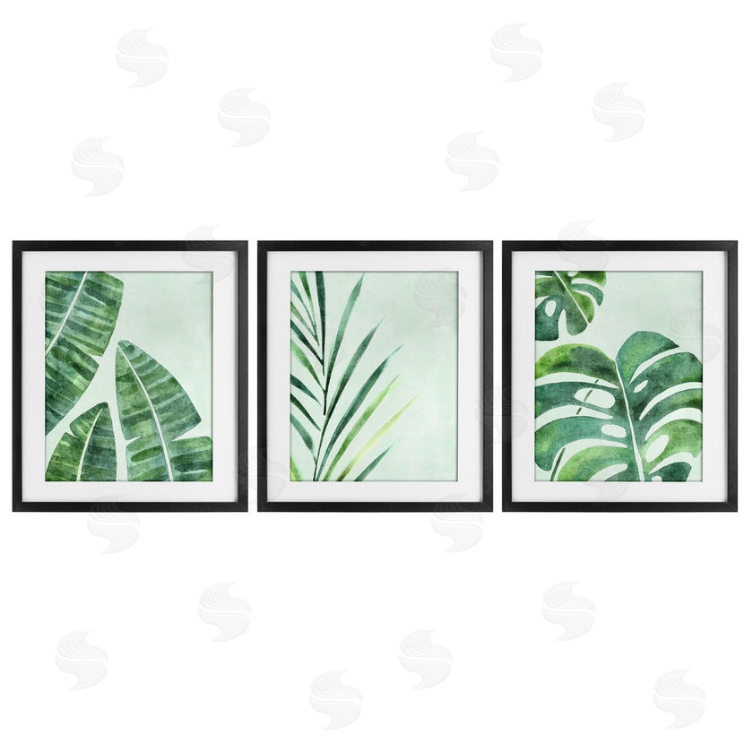 Camila Juncos | Various Plant Leaves Tropics