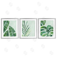 Camila Juncos | Various Plant Leaves Tropics
