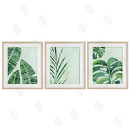 Camila Juncos | Various Plant Leaves Tropics