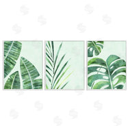 Camila Juncos | Various Plant Leaves Tropics