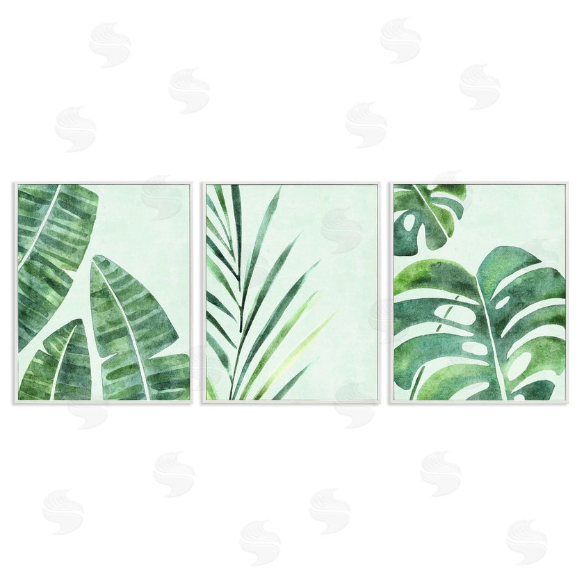 Camila Juncos | Various Plant Leaves Tropics
