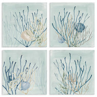 Lucille Price | Swimming Underwater Sea Life Coral