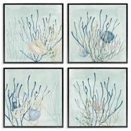 Lucille Price | Swimming Underwater Sea Life Coral